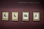 Fig. 15: Installation of Daumier exhibition